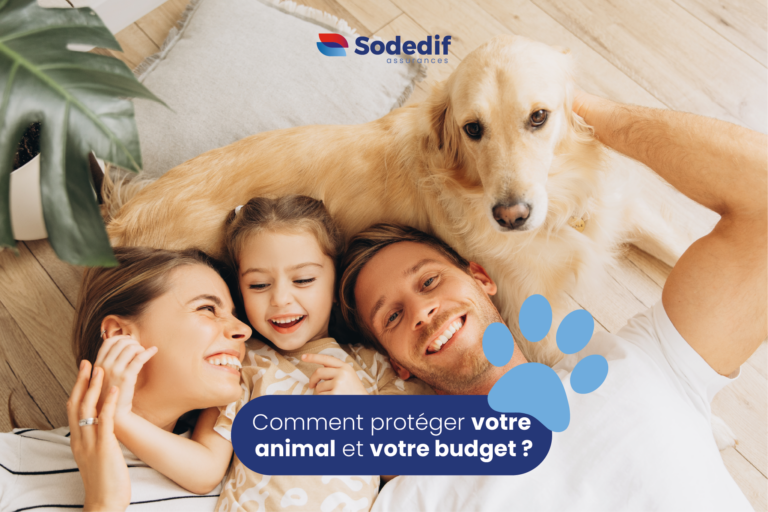 Famille avec son chien illustrant la protection de l’animal et du budget grâce à une assurance santé animale